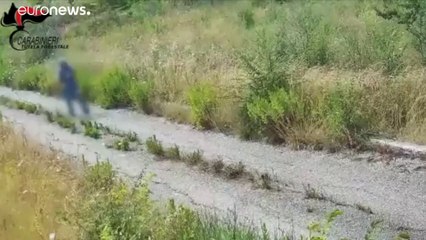 Campania, appicca il fuoco: ecco il video dei Carabinieri