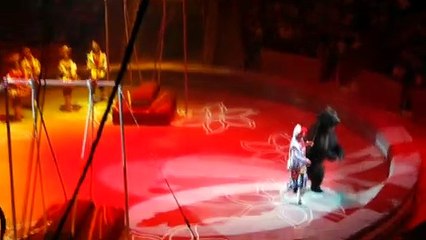Bear in Russian circus