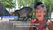 A Chypre, une "dame aux chats" à la rescousse des félins errants