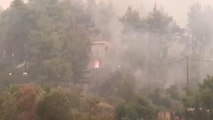 EVİA ADASI - Yunanistan'da orman yangınlarıyla mücadele devam ediyor (4)