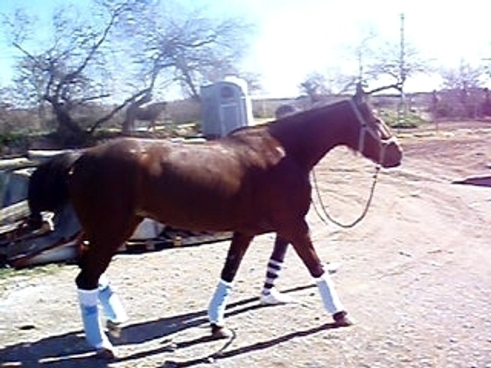 debarquement de pilou