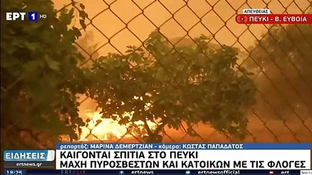 Ρεπόρτερ της ΕΡΤ έσωσε γατάκι από τις φλόγες στ...
