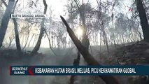 Kebakaran Hutan Brazil Meluas, Picu Kekhawatiran Global