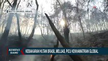Kebakaran Hutan Brazil Meluas, Picu Kekhawatiran Global