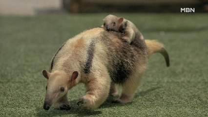 [굿모닝월드-1] 엄마가 제일 좋아