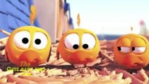 Angry Birds Singing Video - Angry Birds Game Cartoon   Funny Angry Birds Videos