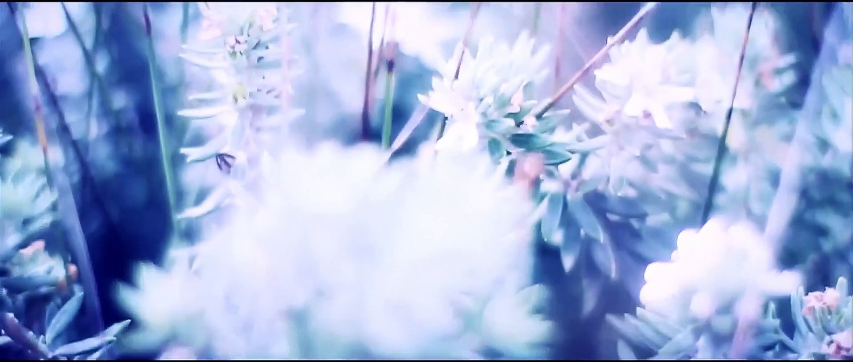 Kamibekami - This Is Energy