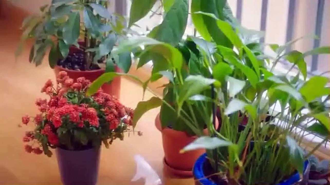 Μικρά Εγκλήματα - Επεισόδιο 6 Μέρος 1