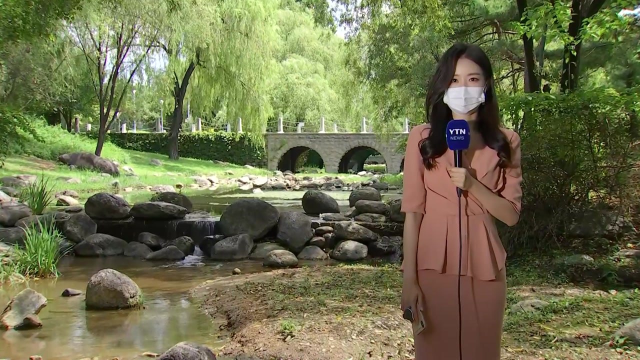 [날씨] 내륙 맑고 낮 더위, 서울 33℃...동해안 비바람 / YTN
