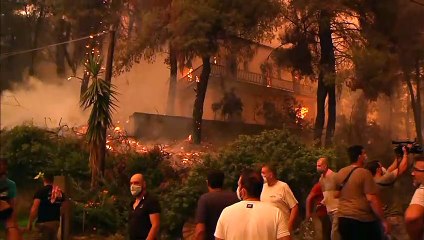 Download Video: Grecia, ancora fiamme. Da Atene una richiesta internazionale d'aiuto