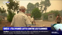 La lutte des habitants de l'île d'Eubée, en Grèce, contre les incendies