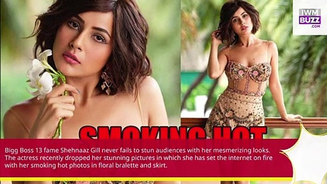 Shehnaaz Gill shares smoking hot photos in floral bralette and skirt, fans can’t stop praising
