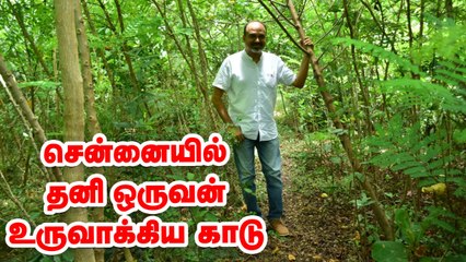 சென்னையில் இப்படி ஒரு காடு இருக்கா_.. - வியக்க வைக்கும் forest மேன்!