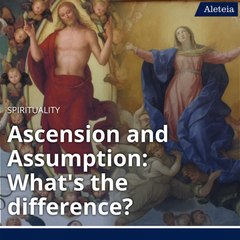 Ascension vs. Assumption: Understanding the Key Differences ✨