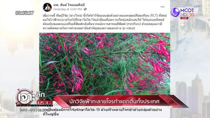 นักวิจัยฟ้าทะลายโจรทำแตกตื่นทั้งประเทศ : เจาะลึกทั่วไทย (9 ส.ค. 64)