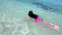 Moalboal Cebu  Crystal Clear Water  White Sand