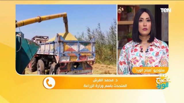 التعبئة والإحصاء: مصر حققت الاكتفاء الذاتي من الأرز بنسبة 79%.. ومنحدث الزراعة يكشف التفاصيل