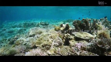 "Vörös riasztás az emberiség számára, a vészjelző fülsüketítően visít"