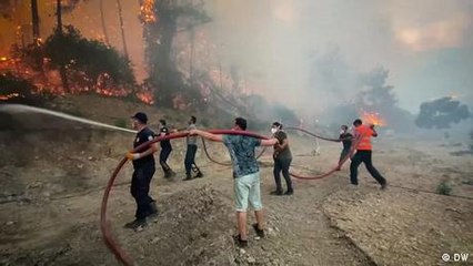 Turkey wildfires: Are politics to blame for the devastation?