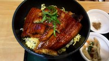 Japanese Eel Dish
