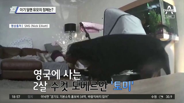 아끼는 인형까지 건네…아기 달랜 유모의 정체는?