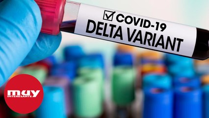 5 cosas que debes saber de la variante delta