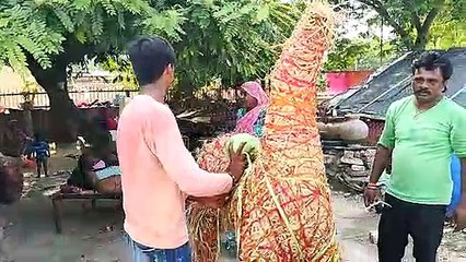 लोक देवता बाबा रामदेव के तैयार हो रहे घोड़े