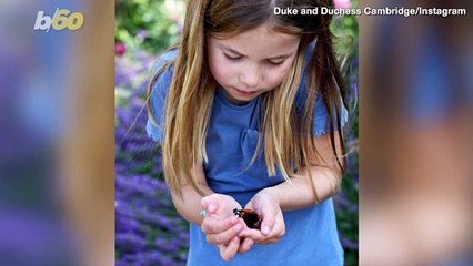 Kate Middleton Shares Adorable New Snap of Her Daughter
