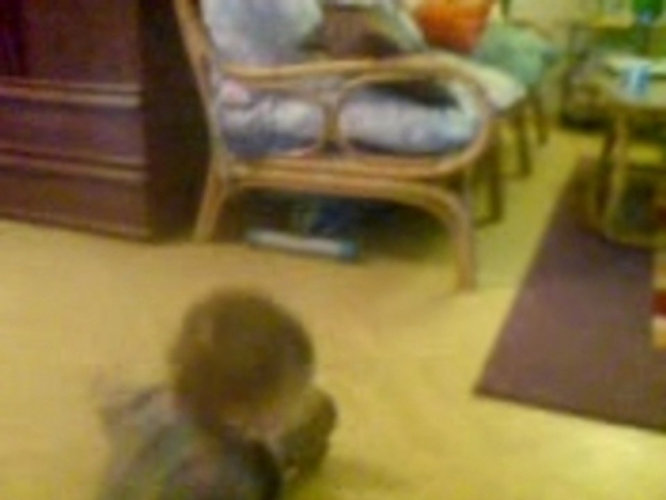 1ers pas hylann 1, 14 mois 1/2