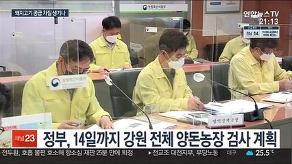 석 달 만에 아프리카돼지열병…돼지고깃값 '적신호'