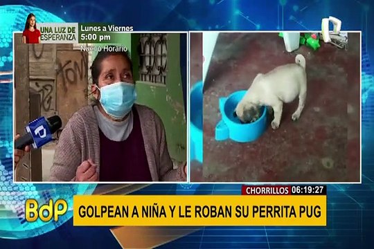 Delincuencia en Chorrillos: sujetos golpean a niña de siete años para arrebatarle su mascota