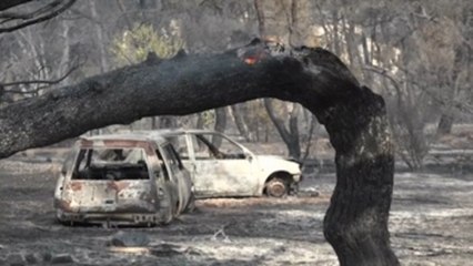 El calor amenaza con avivar los ya devastadores fuegos en el Mediterráneo