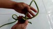 3 practical ways to tie knots in life