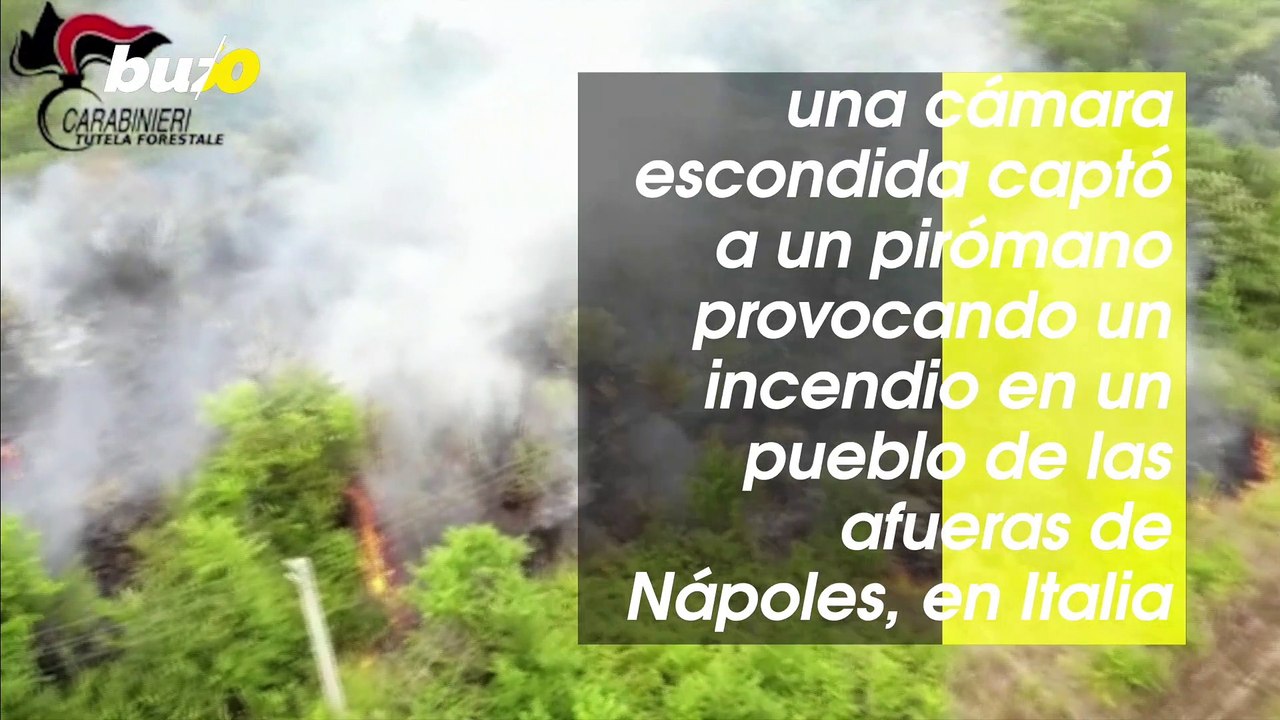 Vea el Momento en Que Un Pirómano Provoca Un Incendio en Un Campo Italiano