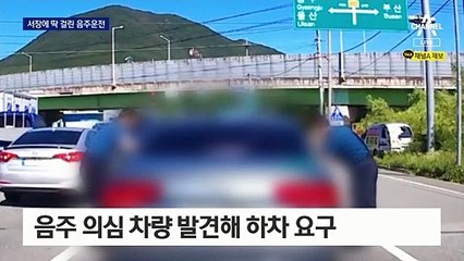 “저 차 이상한데?”…경찰서장에 딱 걸린 대낮 음주운전