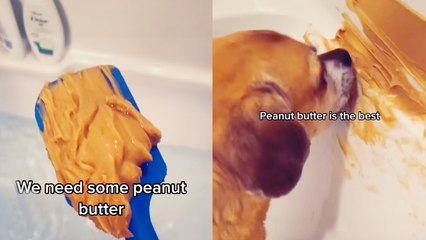 'Clever Peanut Butter Trick to Distract Your Dog During Bath Time *13 Million+ Views*'