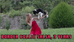 '3 Y/O Border Collie Performs Epic Dance Tricks with Owner '