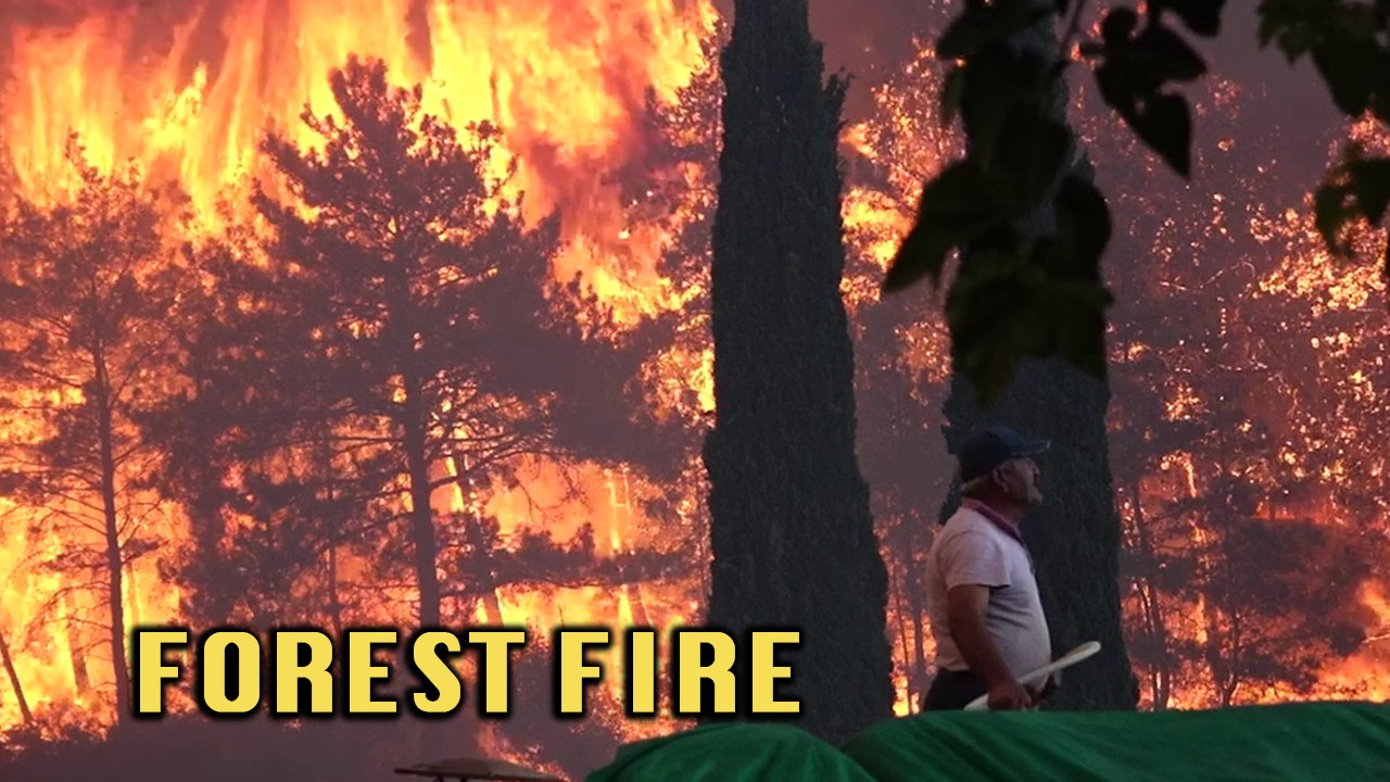 'Frightening Footage Shows Manavgat Being Threatened by Raging Forest Fire '