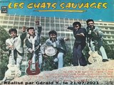 Les Chats Sauvages & Dick Rivers_Les genoux qui craquent (1961)karaoké
