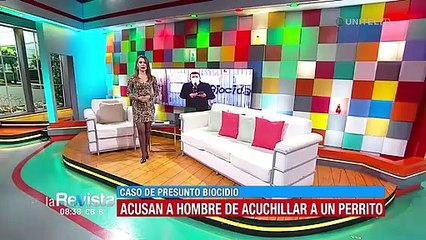 Aprehenden a un hombre por acuchillar a un perro en La Paz