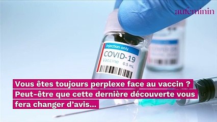 Le coronavirus aurait un impact sur l'appareil reproducteur des hommes