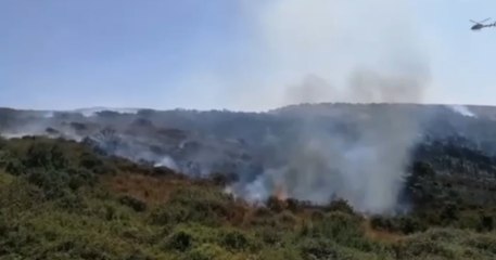 Trinità d'Agultu e Vignola (SS) - Incendi di vegetazione in Gallura (09.08.21)