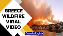 Greece Wildfire : Island of Evia engulfed with fire, Watch | Viral Video | Oneindia News