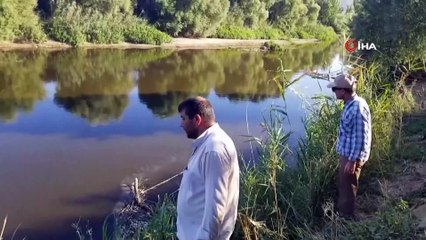Gediz Nehrindeki toplu balık ölümleri korkuttu