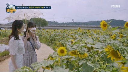 사랑해요~사랑해요~♬ 해바라기밭에서 박상민 빙의한 민아 베짱이