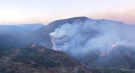 Bagaladi (RC) - Incendi boschivi, sgancio d'acqua da Canadair (09.08.21)