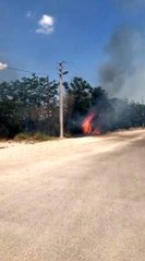 Son dakika haberi... Isparta'da ağaçlara sıçrayan yangın korkuttu