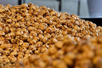 Hitit Üniversitesindeki araştırma Çorum leblebisinin sağlıklı bir atıştırmalık olduğunu ortaya koydu