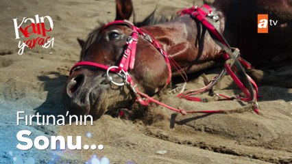 Baha, Fırtına'nın sonunu getirdi - Kalp Yarası 6. Bölüm