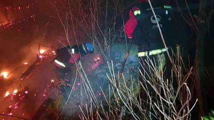 대전 동구 오동 산불 2시간 만에 진화 / YTN